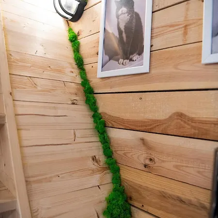 Niewielkie Przytulne Poddasze Z Widokiem Na Ratusz * Poznan