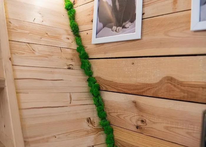 Niewielkie Przytulne Poddasze Z Widokiem Na Ratusz * Poznan